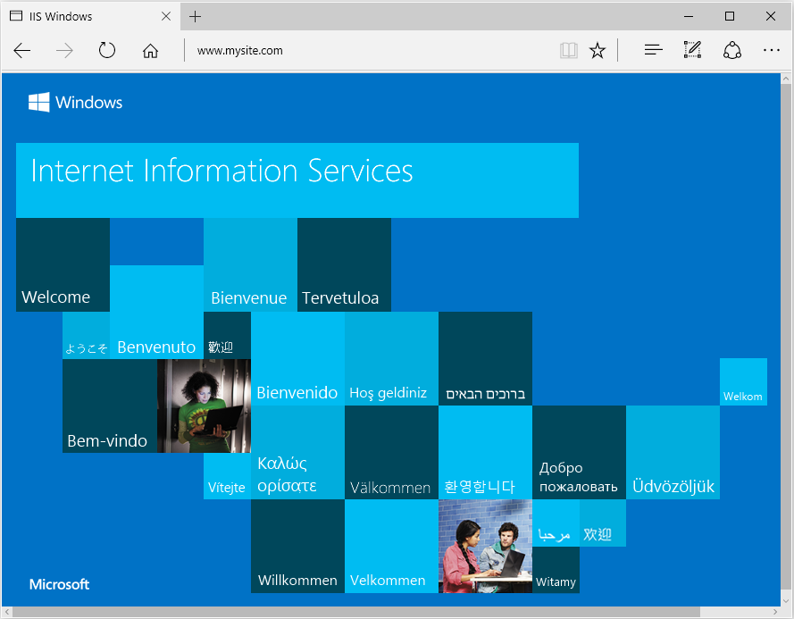 ../_images/browsewebsite.png